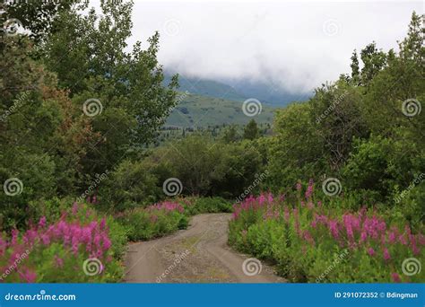 Valley Of Ten Thousand Smokes Katmai National Park Stock Photo Image