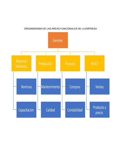 Organigrama De Areas Funcionales De Una Empresa Infografia Porn Sex