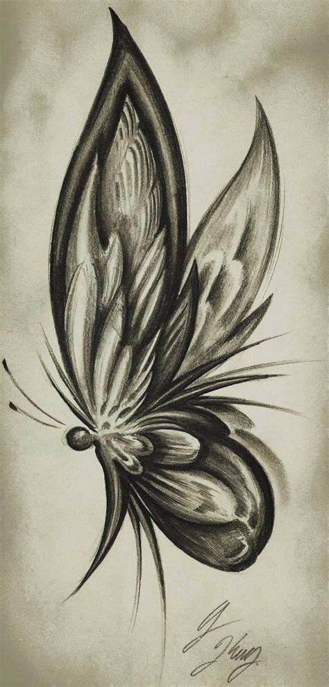 Butterfly Evolution by J-King-21.deviantart.com | Pencil sketch drawing ...