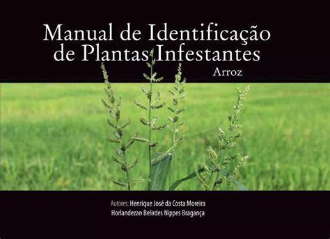 Manual De Identifica O De Plantas Infestantes Arroz Pdf