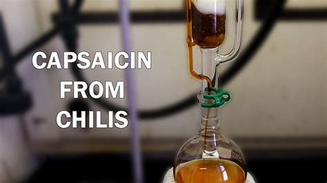 How To Extract Capsaicinoids From Chili Peppers Youtube