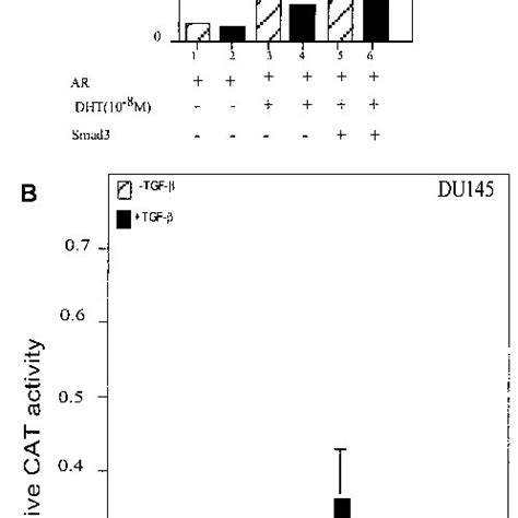 The Effects Of Smad3 On AR Mediated Transcriptional Activity A