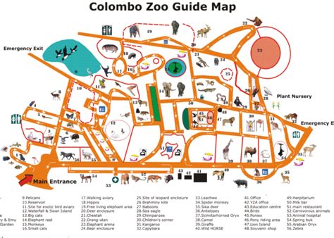 Colombo Zoo in Dehiwala – on the map, photo, reviews, how to get on