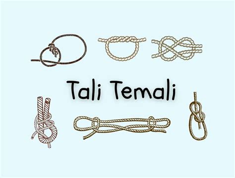 15 Simpul Tali Temali Pramuka Buat Kegiatan Alam, Masih Ingat?