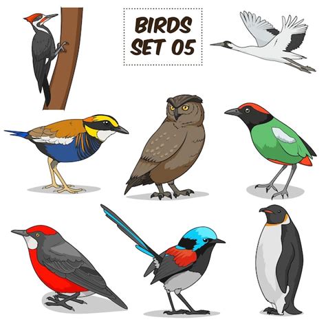 Ilustraci N De Vector Colorido De Dibujos Animados Conjunto De Aves