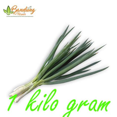 Jual Daun Bawang 1 Kg Di Lapak Bandung Farmer Bukalapak