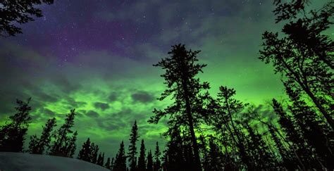 18 magical shots of the Northern Lights across Canada this weekend | News