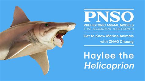 Haylee The Helicoprion The Story Of Creating Haylee The Helicoprion