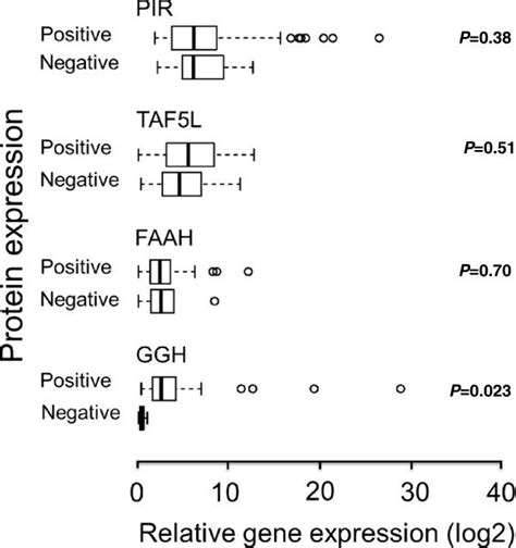 The Relationship Between Ggh Faah Pir And Taf L Mrna Levels With