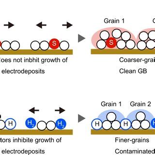 Schematic Illustration Showing How Microstructures Formed During