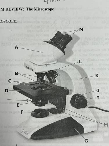 Biology Lab Exam Review The Microscope Flashcards Quizlet