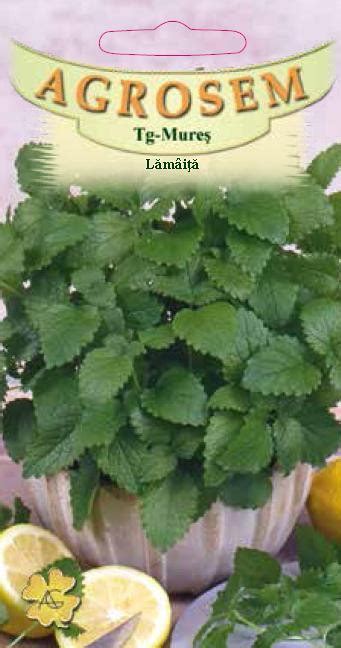 Lamaita G Seminte Planta Aromatica Medicinala Perena Melissa