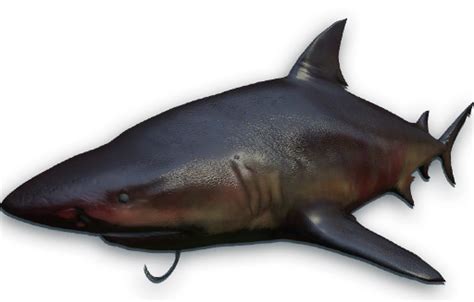 Maneater - Far Cry Wiki
