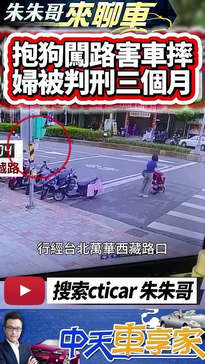 婦人馬路抱狗 害騎士慘摔車 判3個月徒刑｜抱狗過馬路害摔車 婦人被告過失傷害 法官判刑三個月 可易科罰金｜抖音 Shorts【中天車享家