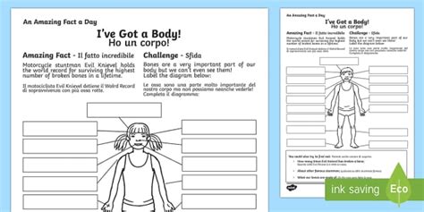 I Ve Got A Body Worksheet Worksheet English Italian