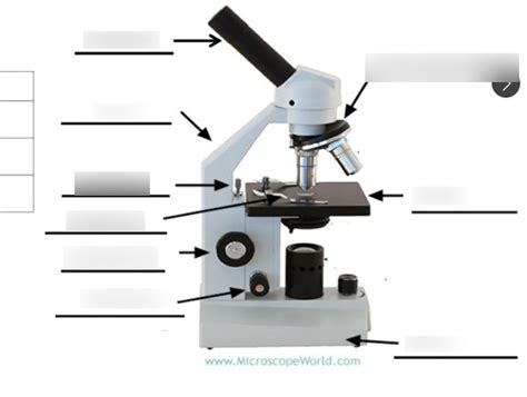 Microscope Parts Diagram Quizlet