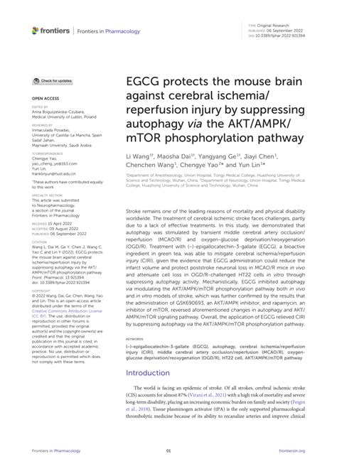 Pdf Egcg Protects The Mouse Brain Against Cerebral Ischemia