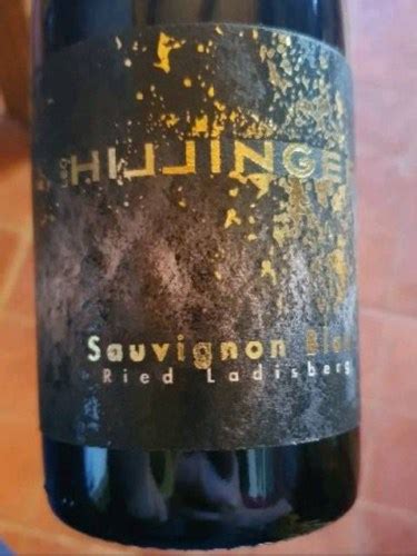 Leo Hillinger Ried Ladisberg Sauvignon Blanc Vivino Us