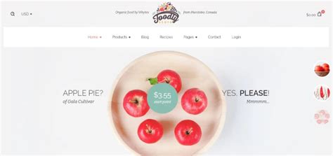 Top 18 Envato Shopify Themes For Your Shopify Store