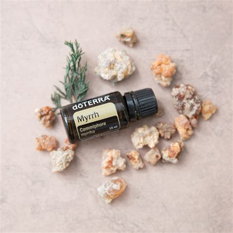 Myrrh Oil Uses And Benefits Doterra Essential Oils