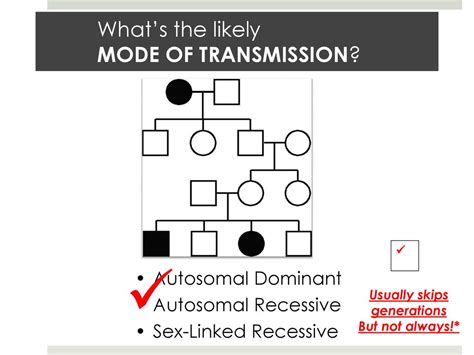 Bellringer Where Are Genes Located Hint Chromosomal Theory Of