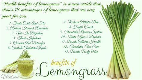 Lemongrass Benefits