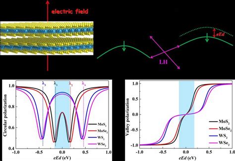 A Schematic Illustration Of The H Tmdcs Bilayer With An Out Of Plane