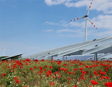 Gro Er Agri Pv Anlagen Vergleich Wie Viel Ertrag Ist M Glich