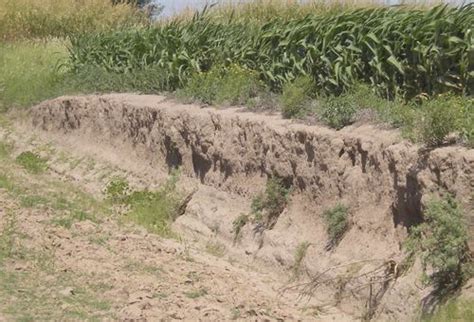 Caracter Stica De La Compactaci N Del Contenido De Humedad Del Suelo