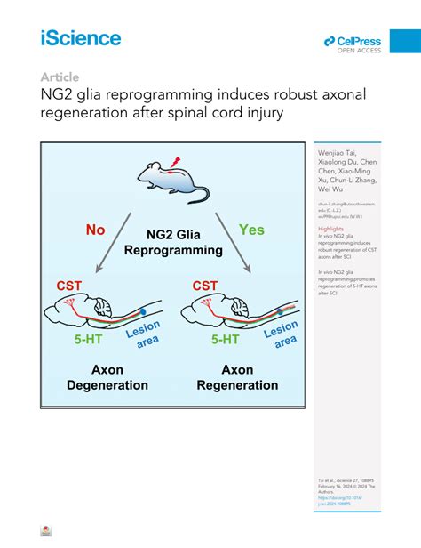 PDF NG2 Glia Reprogramming Induces Robust Axonal Regeneration After