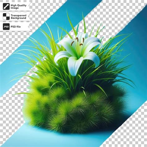 Premium PSD Psd Green Grass With White Flower On Transparent Background