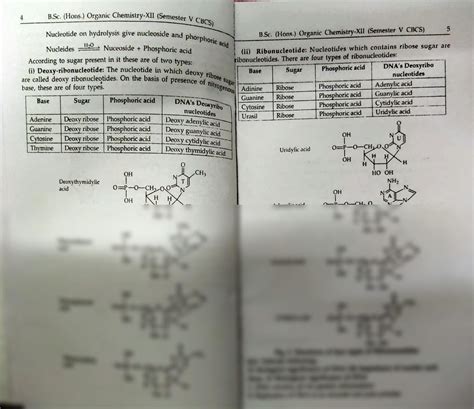 Solution Biochemistry Reference Studypool