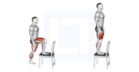 Landmine Single Leg Hip Thrust Guide Benefits And Form