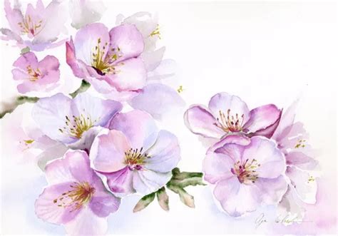 Olga Koelsch Paintings For Sale Artfinder Flower Art Watercolor