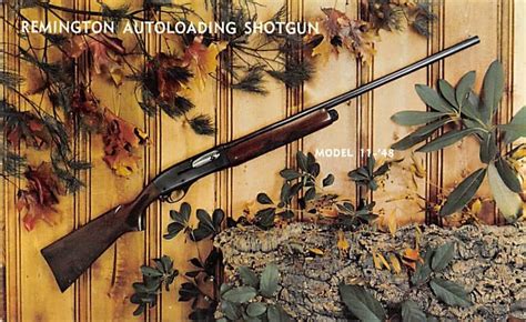 Our Best Autoloading Shotguns Top 21 Picks Maine Innkeepers Association