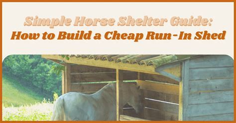 Simple Horse Shelter Guide How To Build An Affordable Run In Shed