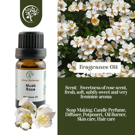 Musk Rose Fragrance Oil Green Herbology