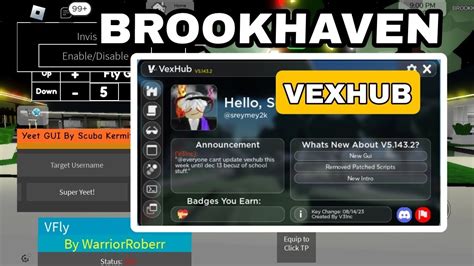 NEW Brookhaven Script OP Admin Hub VexHub Hydrogen Fluxus Arceus X