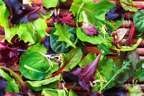 Nutrientes De Las Verduras De Hoja Verde Que Te Van A Sorprender