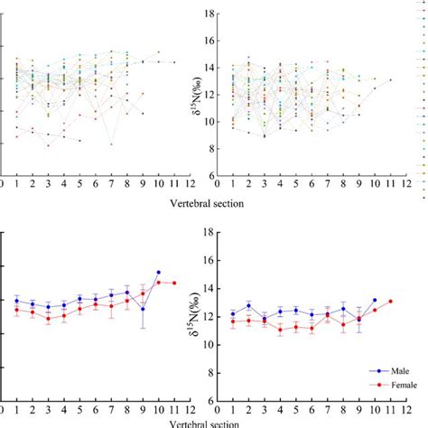 δ¹³c And δ¹⁵n Values Obtained From Vertebrae Of Carcharhinus Longimanus