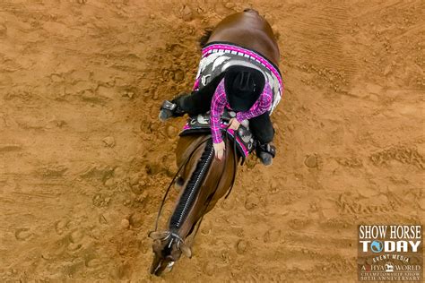 2022 Aqhya World Show Trail Candids Show Horse Today