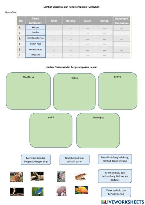 Klasifikasi Makhluk Hidup Exercise For 7