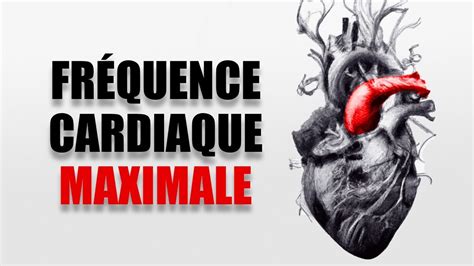 Comment Augmenter sa Fréquence Cardiaque Maximale Calcul Mesure