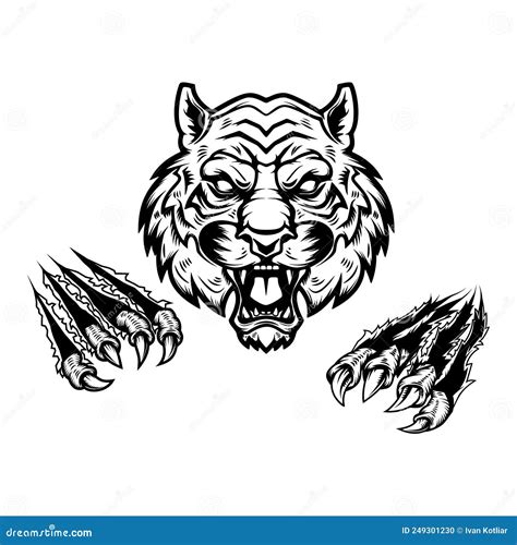 Tiger Head And Claws Design Element For Logo Emblem Sign Poster T