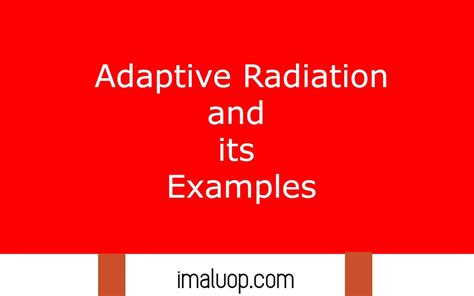 Adaptive Radiation and its Examples - Imaluop - IMALUOP