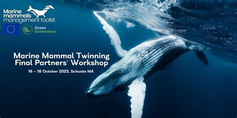 Marine Mammal Twinning Final Partners Workshop Ocean Governance