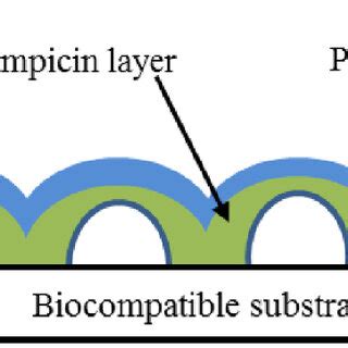 Cross Sectional Schematic Diagram Of The Sandwich Structure Evaluated