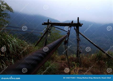 Jiangxi scenery stock photo. Image of inflorescence - 134277548