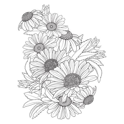 Daisy Flower Drawing Realistic Botanical Daisy Flower Line Art