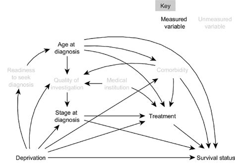 Direct Acyclic Diagram Dag Depicting The Causal Relationships Between